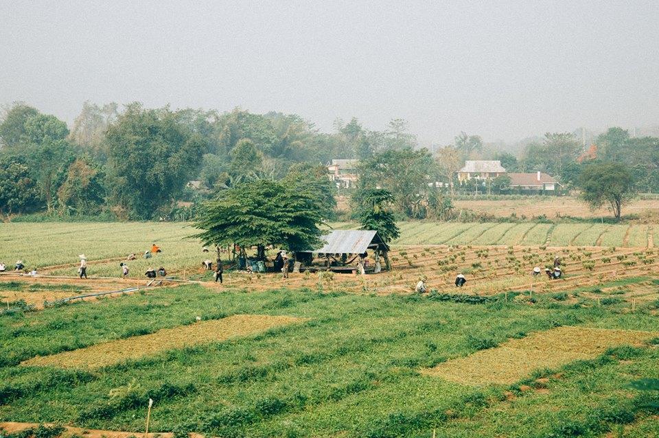 Aether Pai Villa Ngoại thất bức ảnh